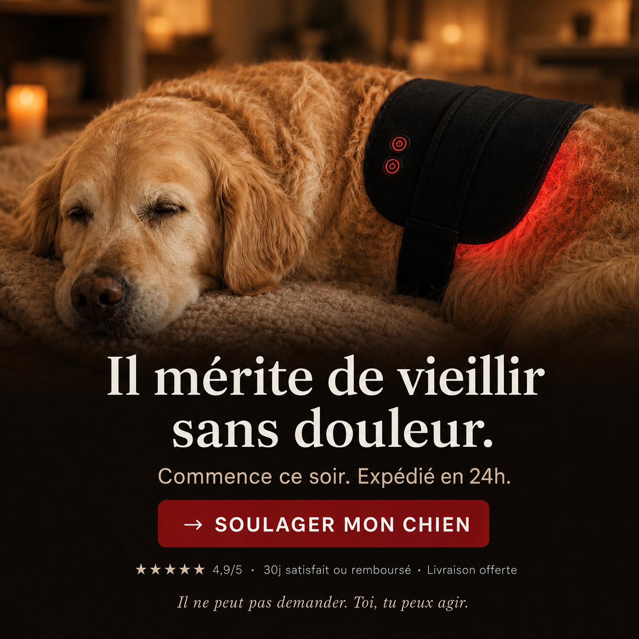 Couverture Vaïk & Lux